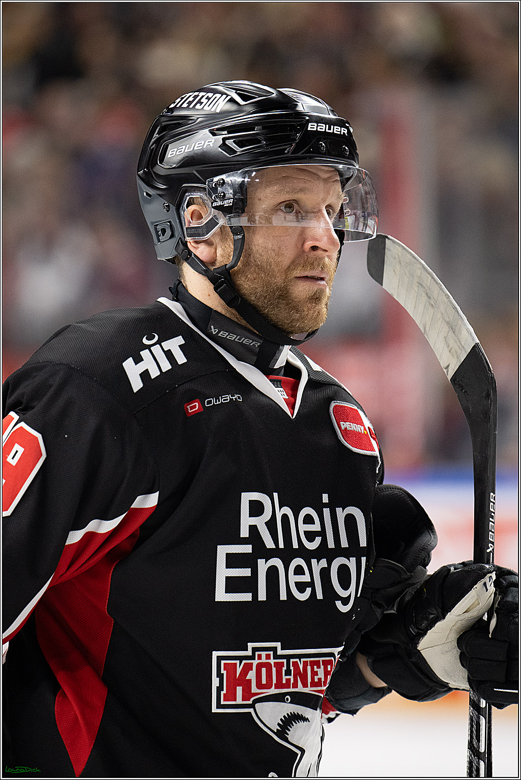 PENNY DEL; Koelner Haie-Duesseldorfer EG ; Koeln, 16.02.2025